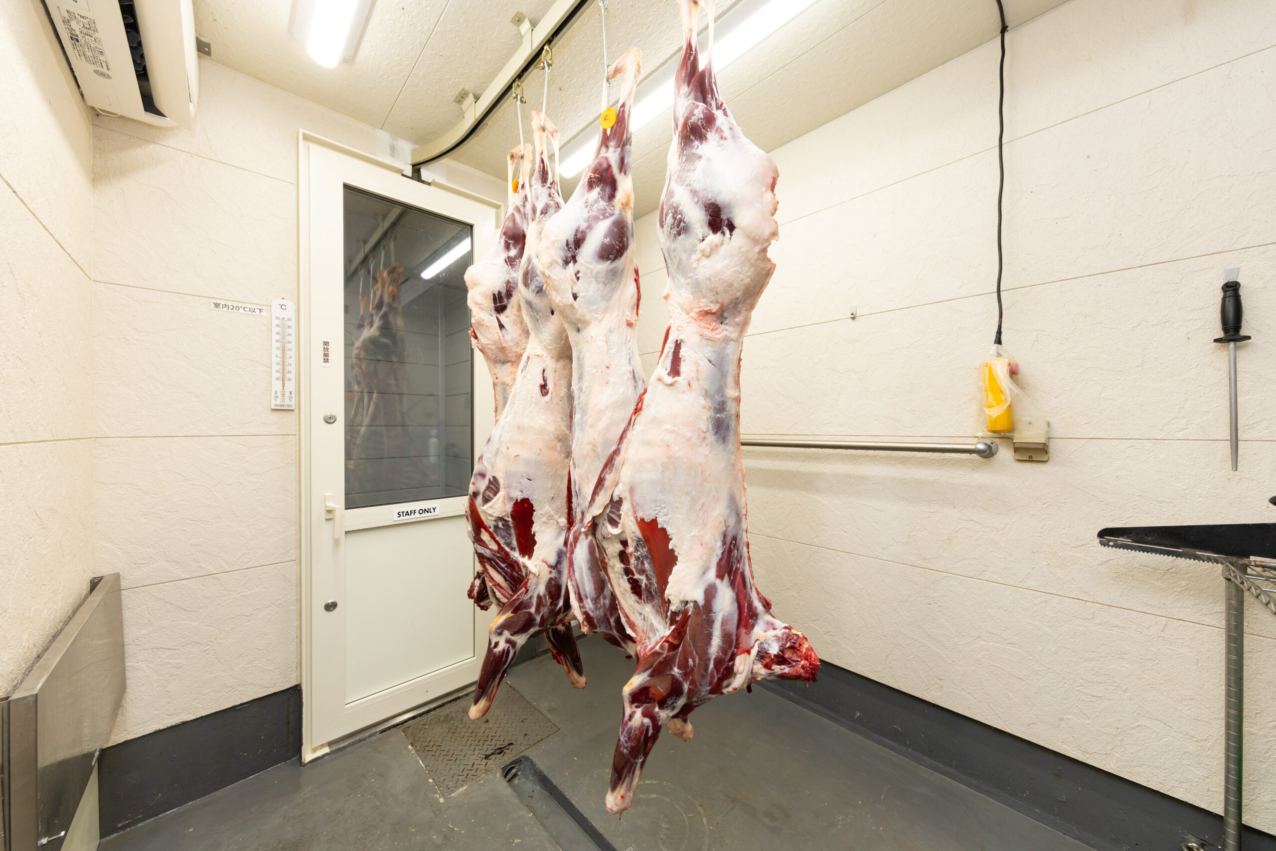 プロ仕様の鹿肉直送