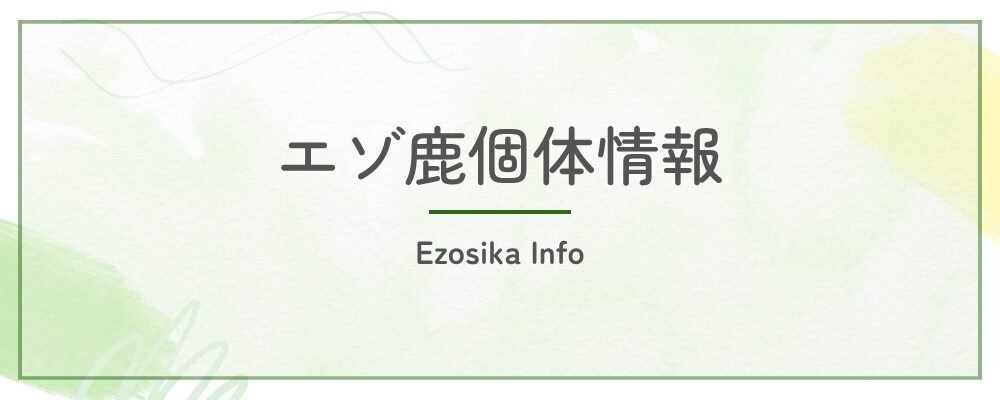 エゾ鹿捕獲状況